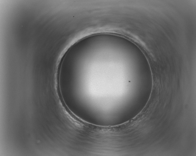 X0000073831512200608240937