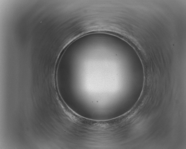 X0000073831513200608240937