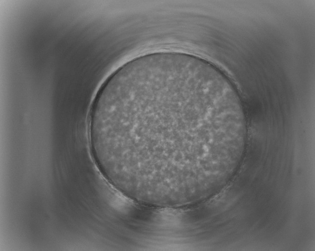 X0000073831514200608240937