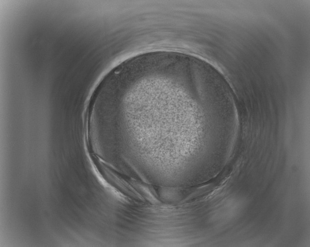 X0000073831515200608240937