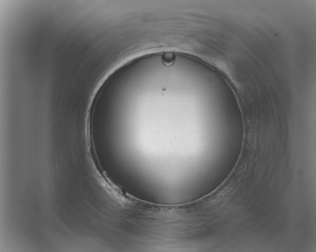 X0000073831516200608240937