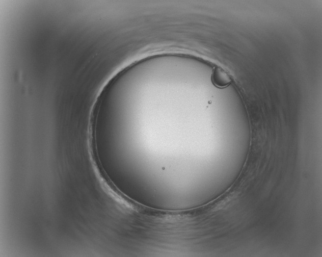 X0000073831518200608240937