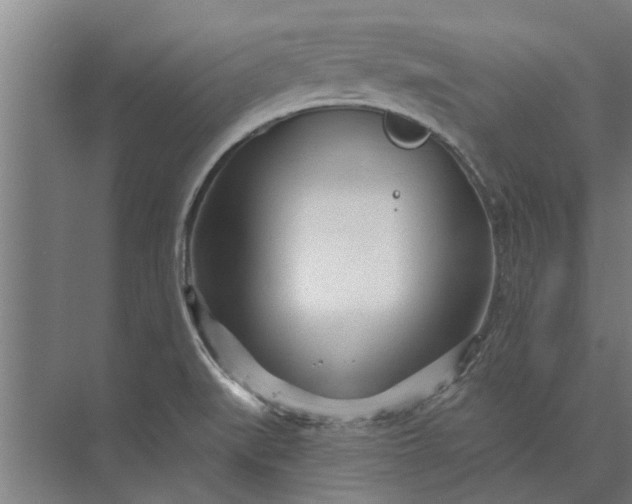 X0000073831519200608240937