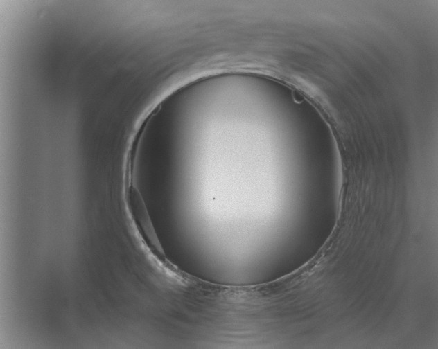 X0000073831520200608240937