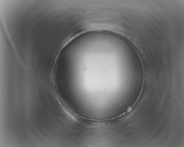 X0000073831521200608240937