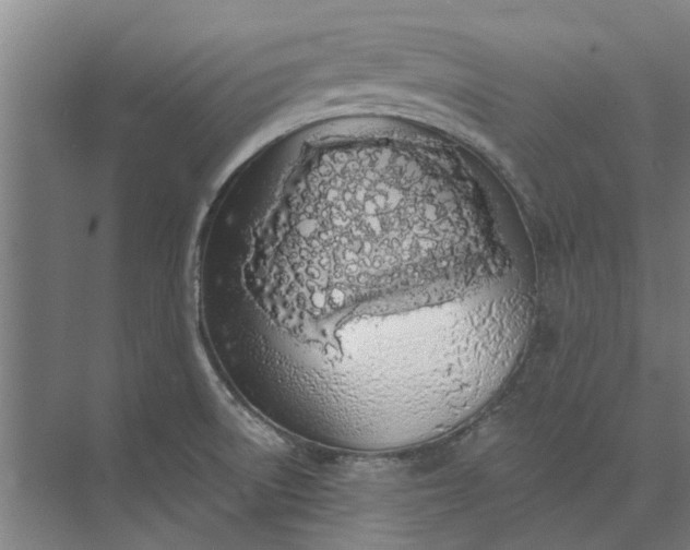 X0000073831522200608240938