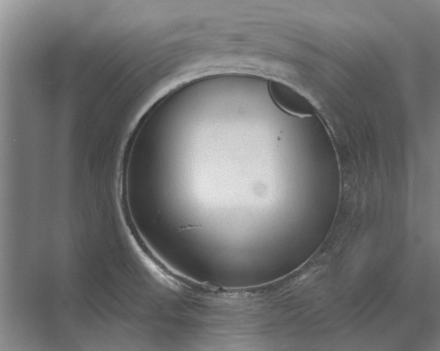 X0000073831523200608240938