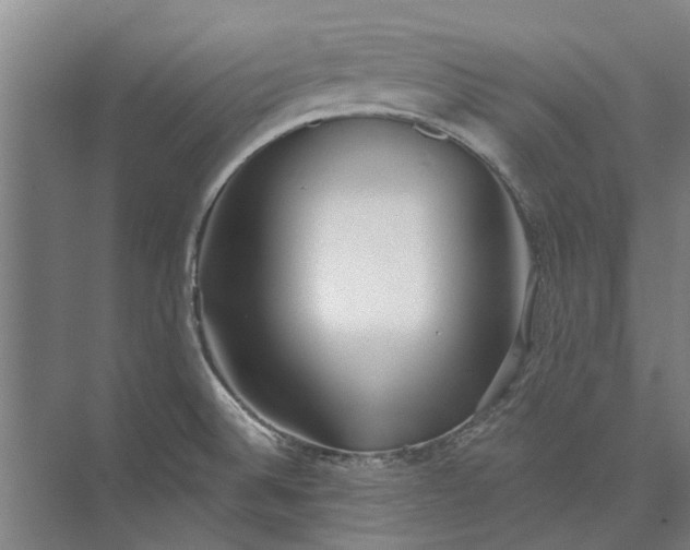 X0000073831524200608240938