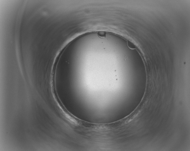 X0000073831525200608240938