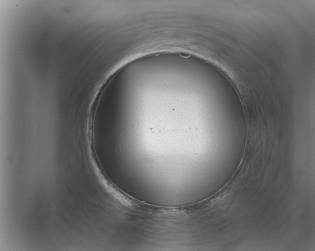 X0000073831526200608240938