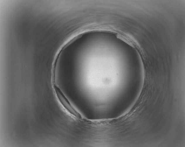 X0000073831528200608240938