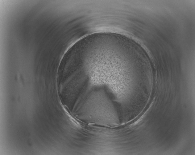 X0000073831529200608240938