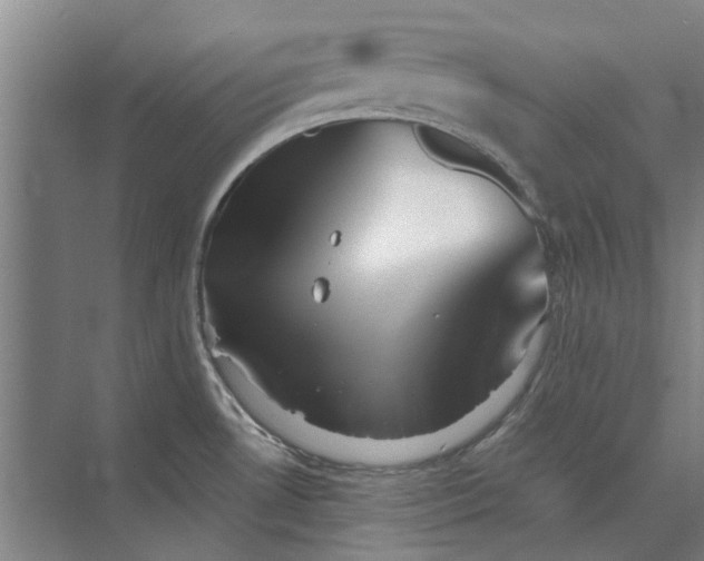 X0000073831530200608240938