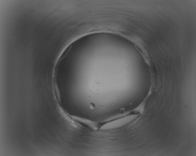 X0000073831532200608240938