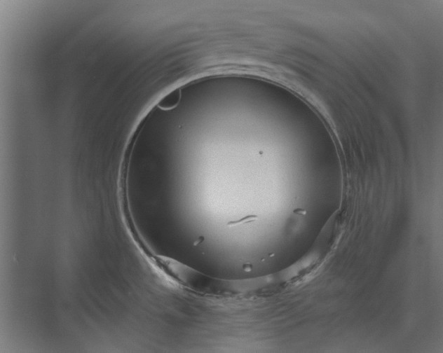 X0000073831533200608240938