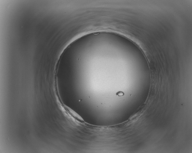 X0000073831534200608240938