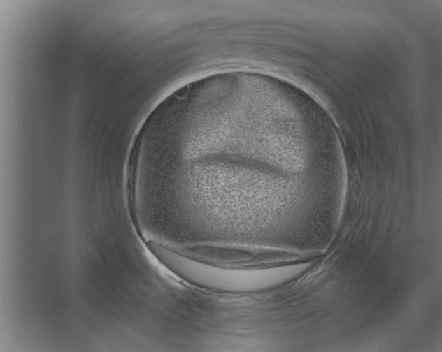 X0000073831535200608240938