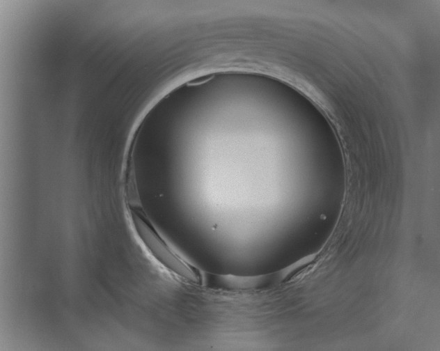 X0000073831536200608240938