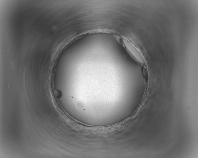 X0000073830001200608311921