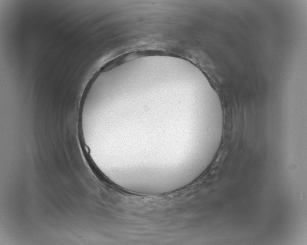 X0000073830003200608311921