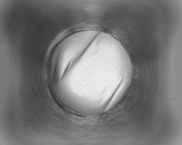 X0000073830004200608311921