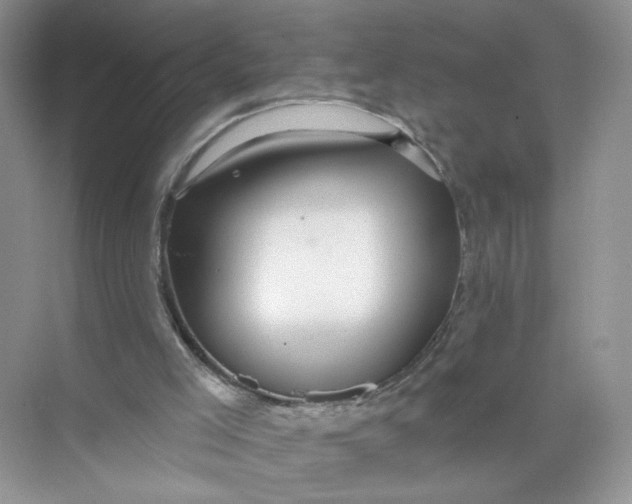 X0000073830005200608311921