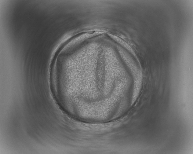 X0000073830006200608311921