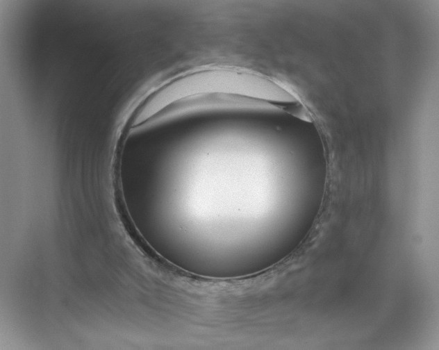 X0000073830007200608311921