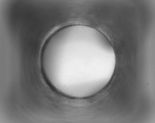 X0000073830008200608311921