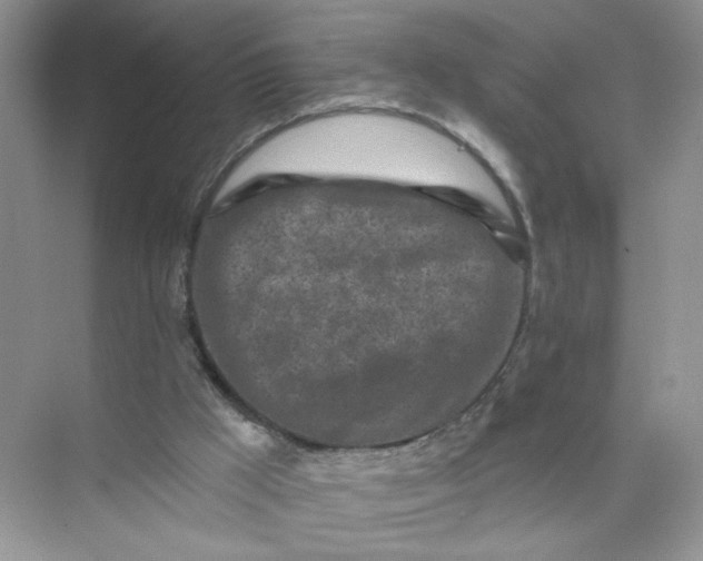 X0000073830009200608311920