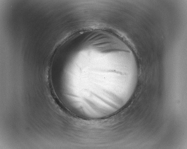 X0000073830010200608311920