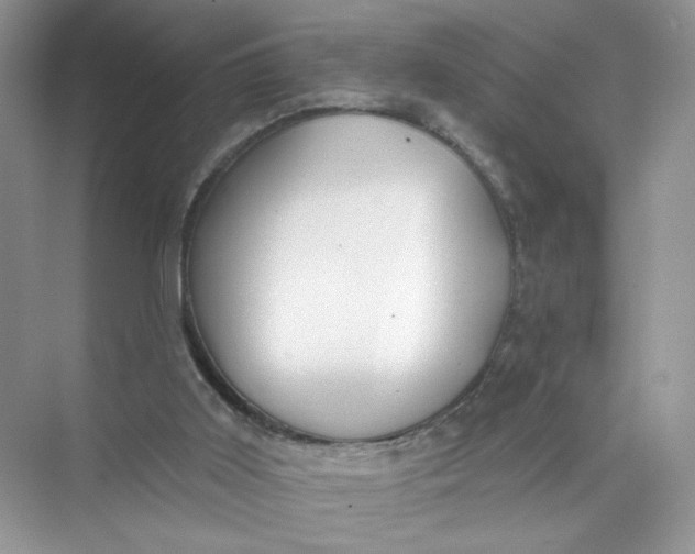 X0000073830011200608311920