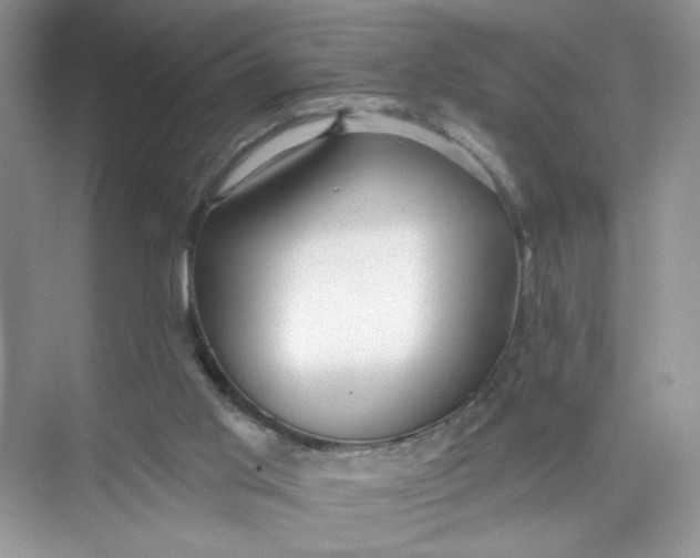 X0000073830013200608311920