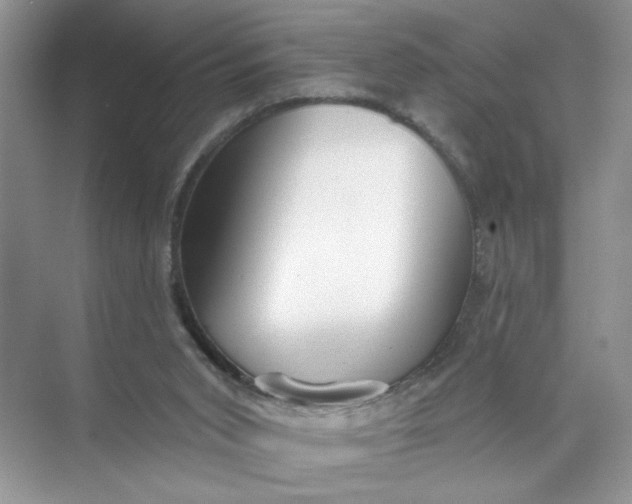 X0000073830015200608311920