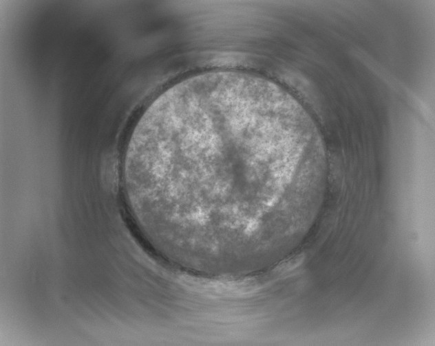 X0000073830016200608311920