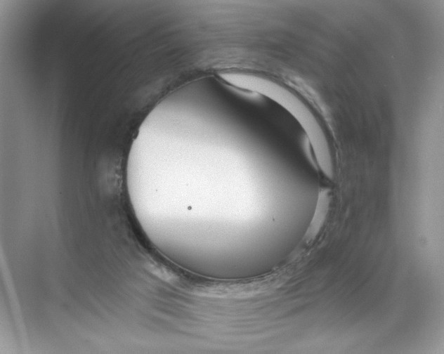 X0000073830017200608311920