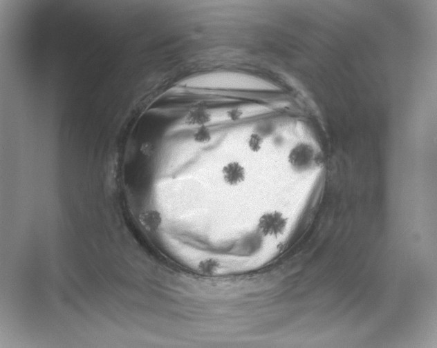 X0000073830018200608311920