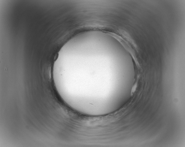 X0000073830021200608311920