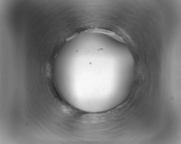 X0000073830025200608311920