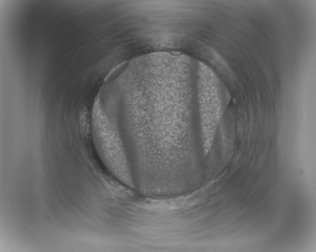 X0000073830029200608311920