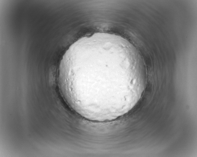 X0000073830030200608311920