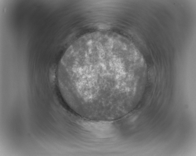 X0000073830032200608311920