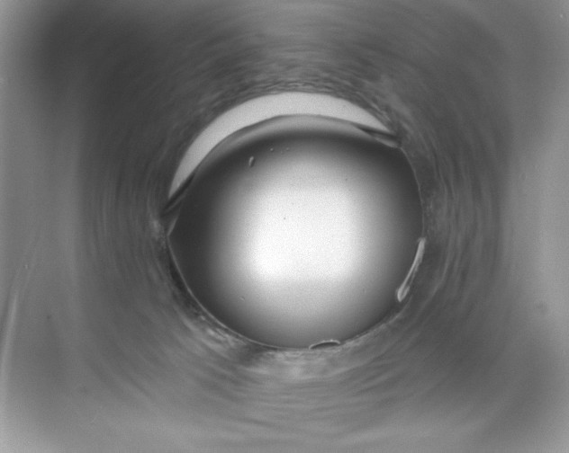 X0000073830033200608311920