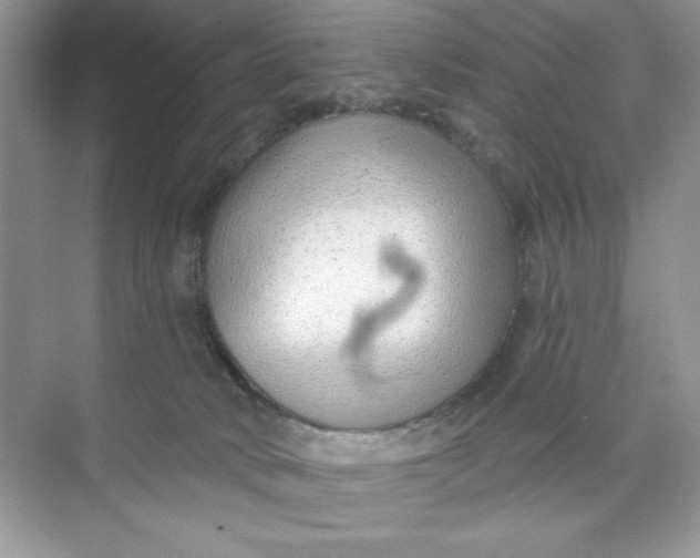 X0000073830034200608311920