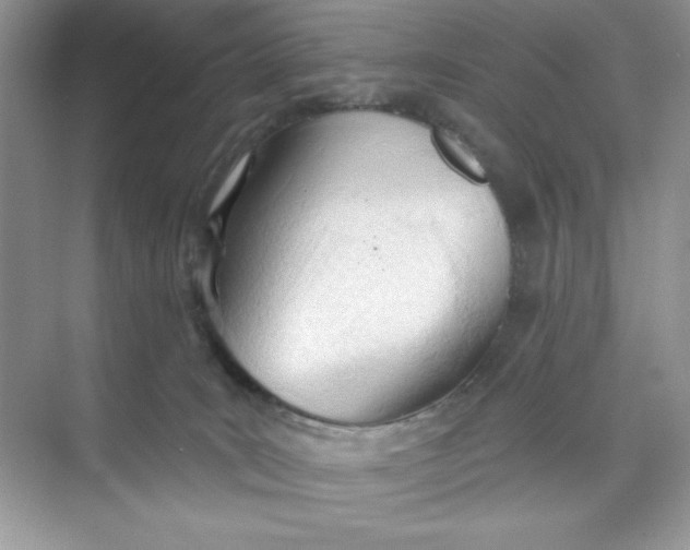 X0000073830035200608311920