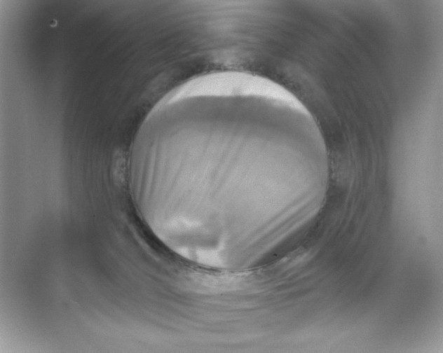 X0000073830036200608311920