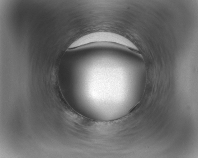 X0000073830037200608311920