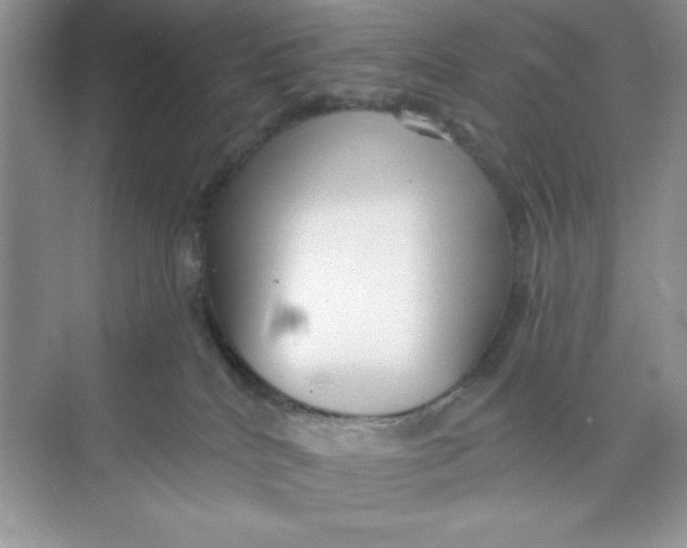 X0000073830040200608311920