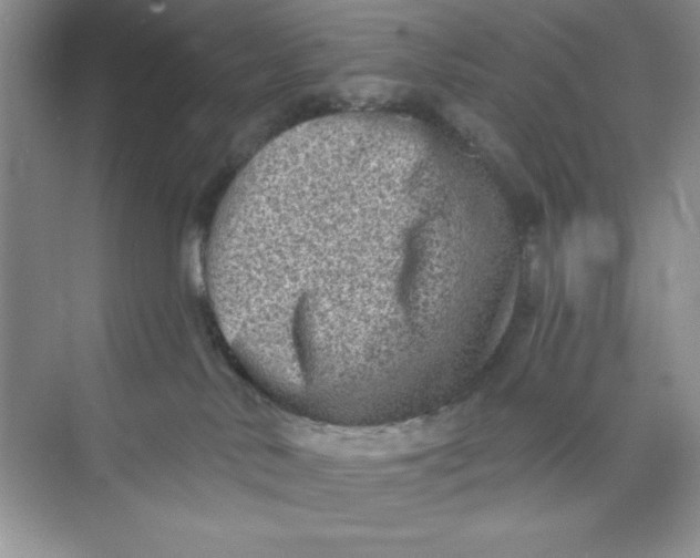 X0000073830042200608311920