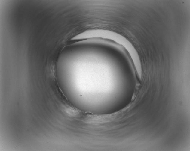 X0000073830045200608311920